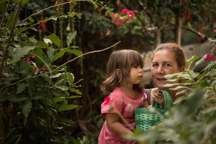 Conta a poesia e a ciência das plantas e das borboletas. 