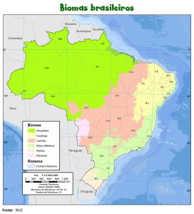 Mapa biomas brasileiros. Fonte: IBGE